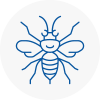 Soho Hornet Nest Removals