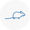 Mice Exterminators In Soho