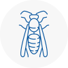 Soho Wasp Nest Removal